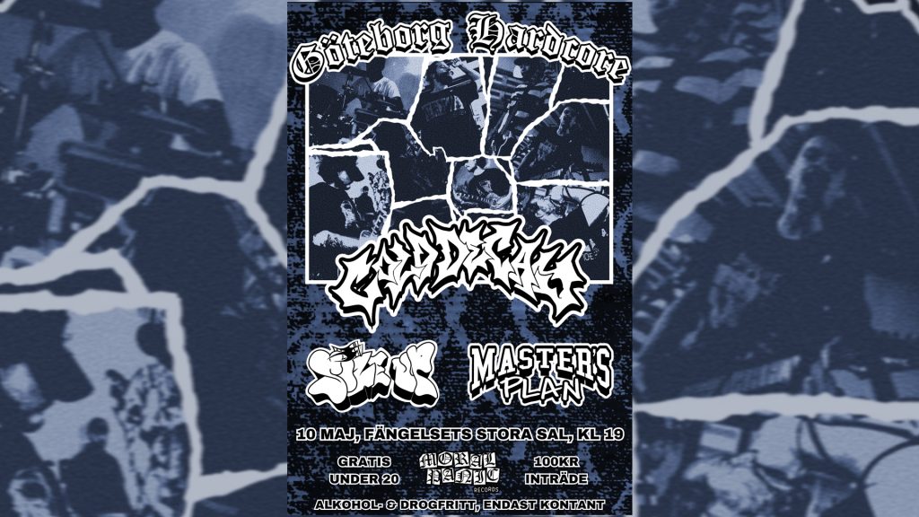 JULIA ARAUJO (1 920 x 1 080 pixlar) – 1